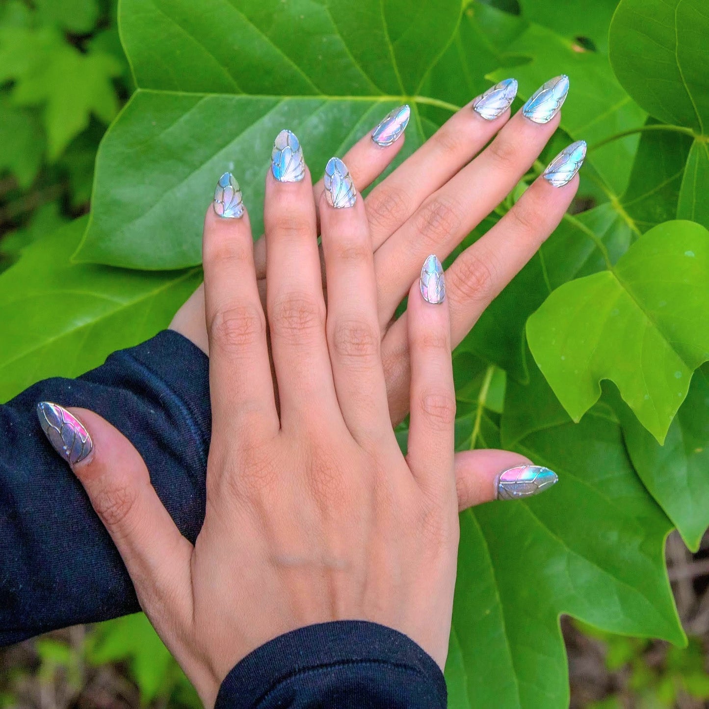 BUTTERFLY WINGS