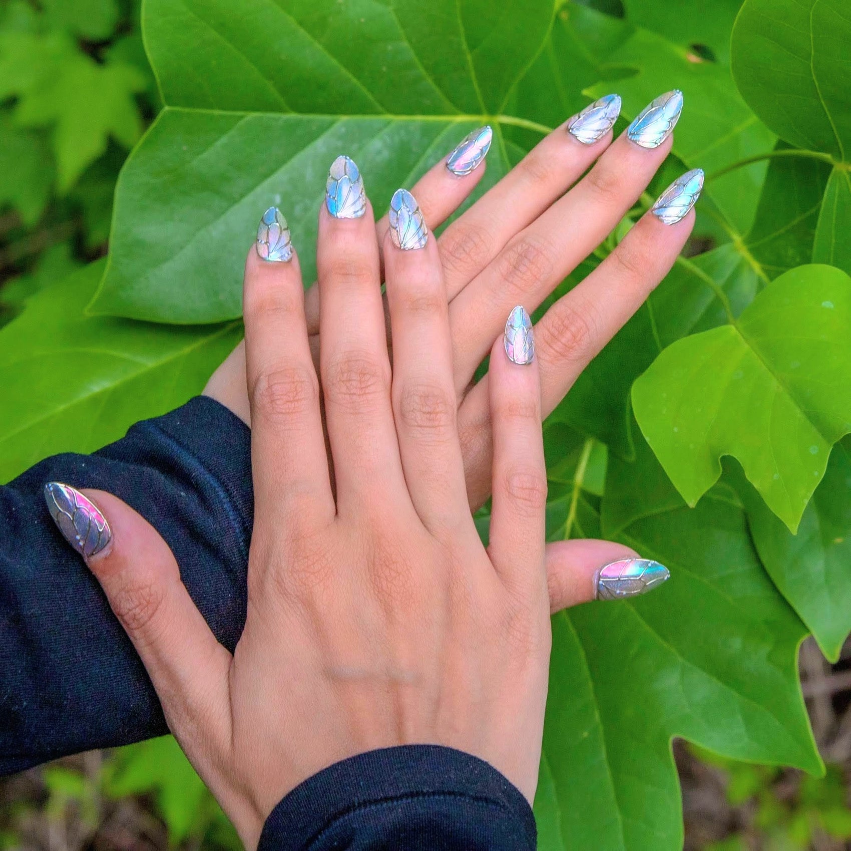 BUTTERFLY WINGS